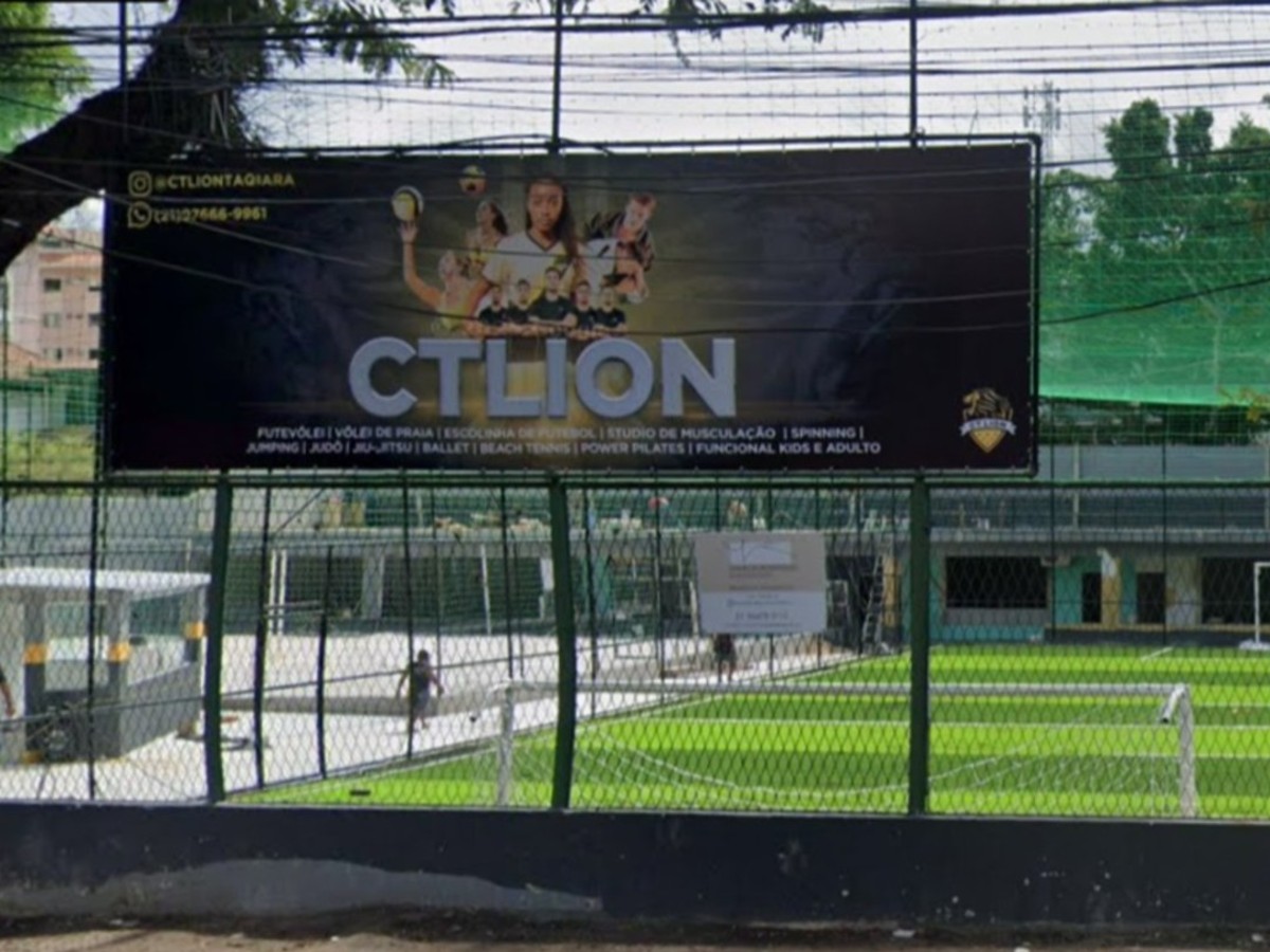 CT Lion